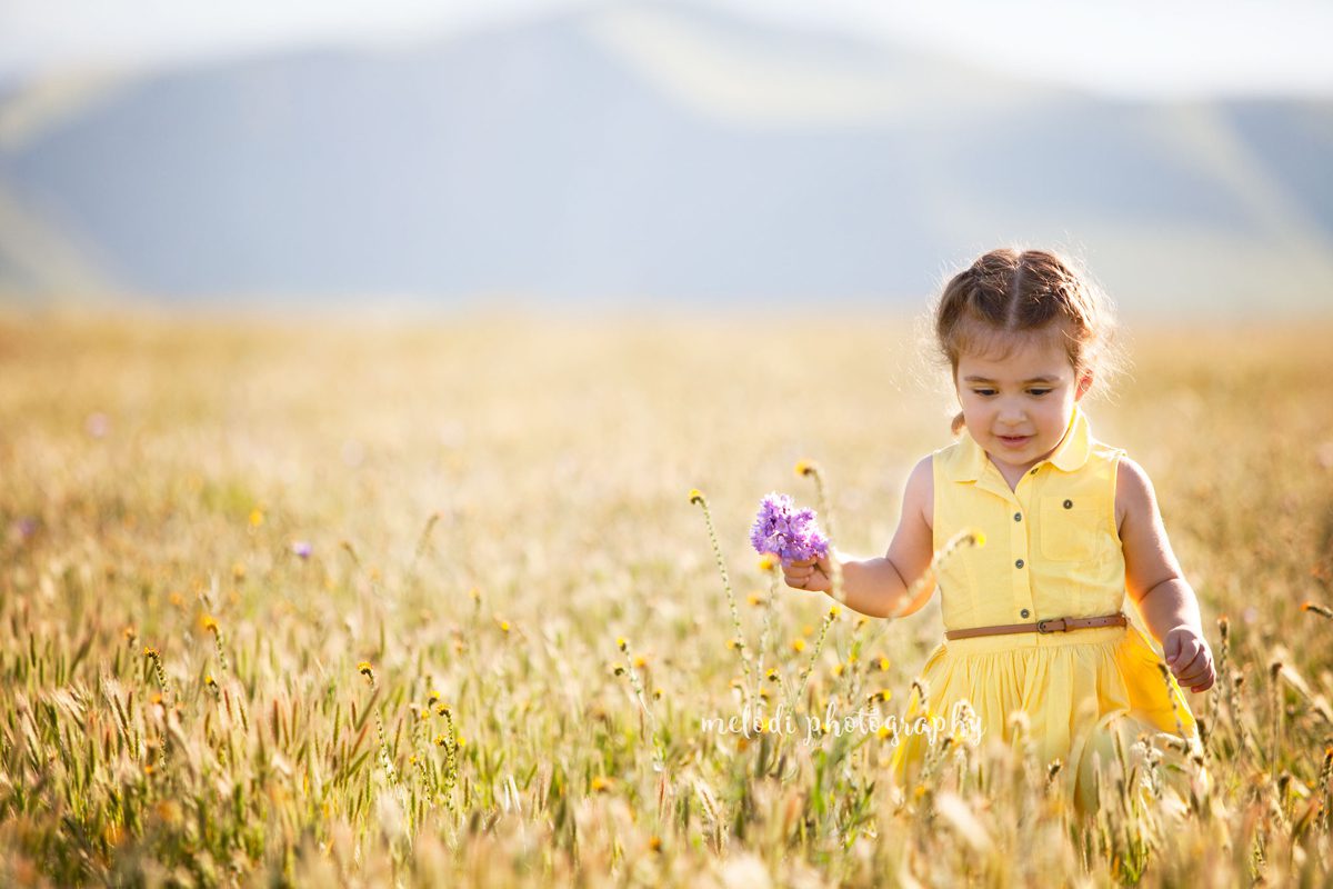 Bakersfield_Wildflower_Photographer_IMG_0200-fb