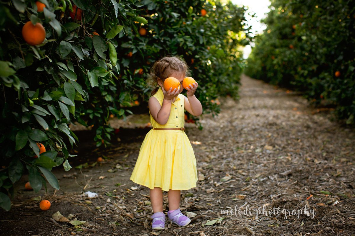 Bakersfield_Wildflower_Photographer_IMG_0336-fb