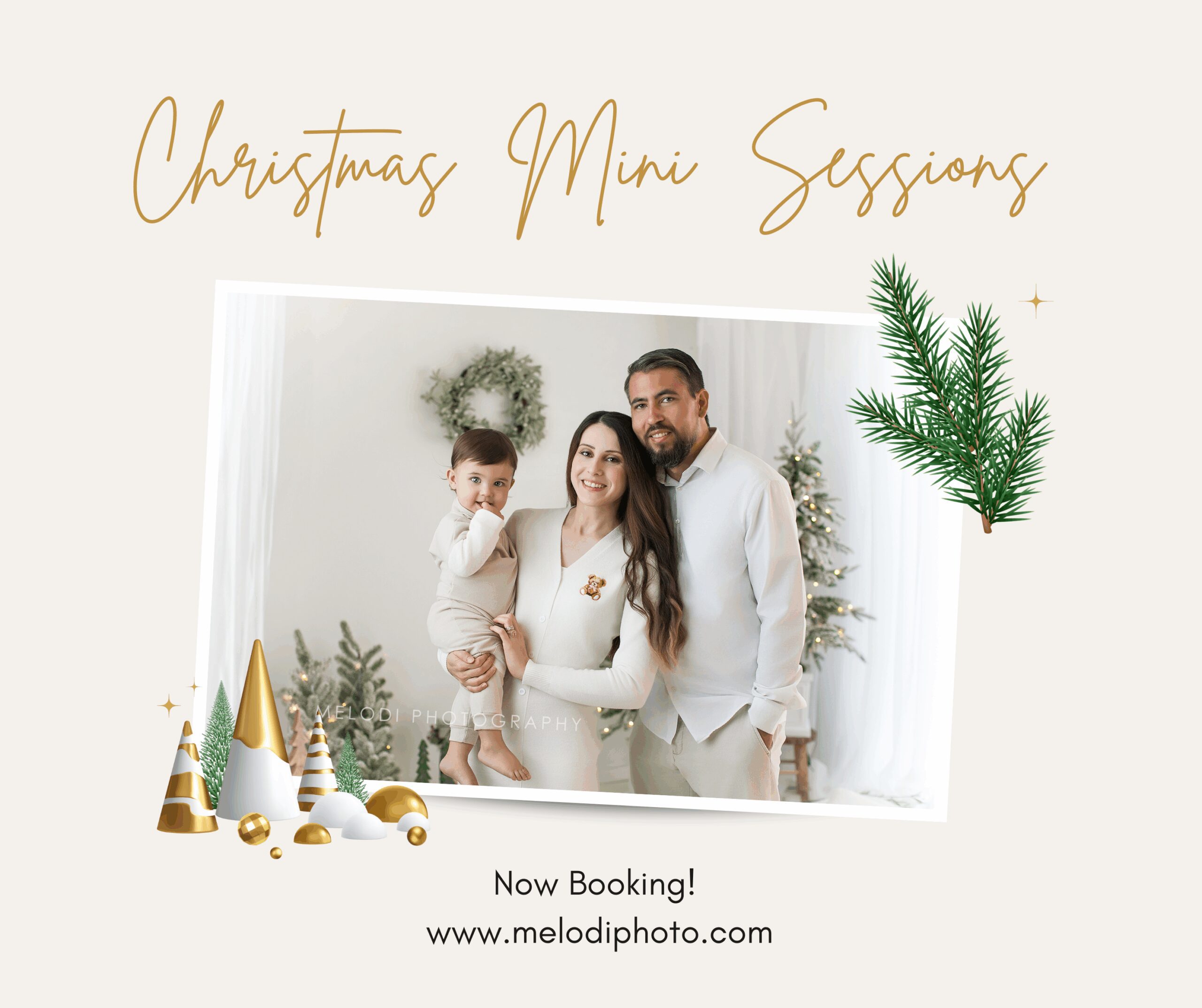 Bakersfield Holiday Photo Session in Studio